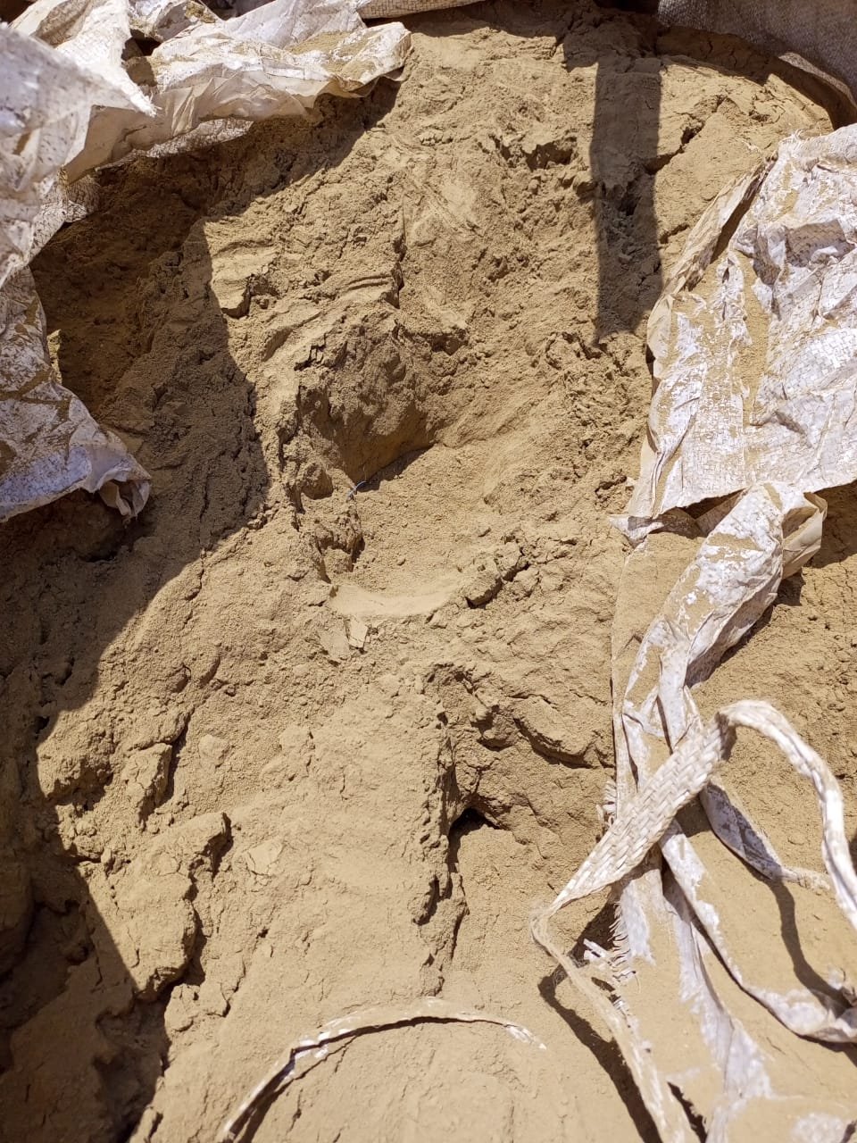World Gold Diamonds — Project Image 17